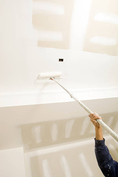 Professional Drywall & Painting Services in Larose, LA